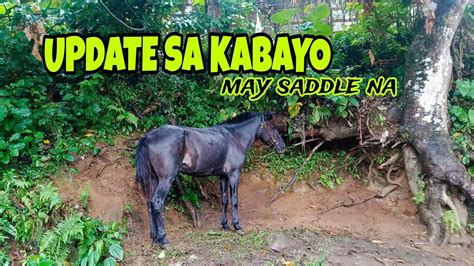 nagpatira sa kabayo|'nagpatira sa kabayo' Search .